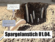Spargelzeit - Das Special 2026. Symbolisches Spargelstechen zum Saisonauftakt auf dem Viktualienmarkt am 01.04.2026